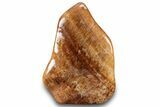 Free-Standing Polished Orange Calcite - Madagascar #299625-3